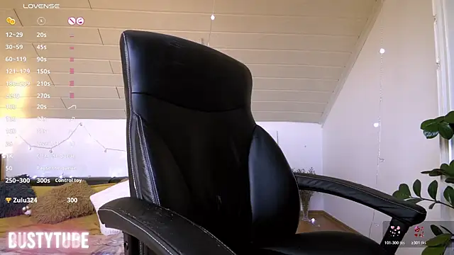 Chat XXX ao vivo de BUSTYTUBE