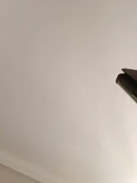 koelleHCdani Webcamshow