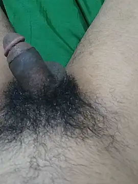 Chat XXX Live TropicalInsomnia
