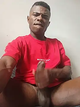 Show Webcam de InsituFull