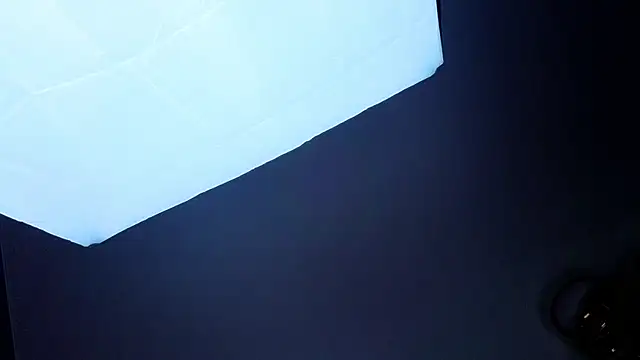 PerryKitty Live XXX-Chat