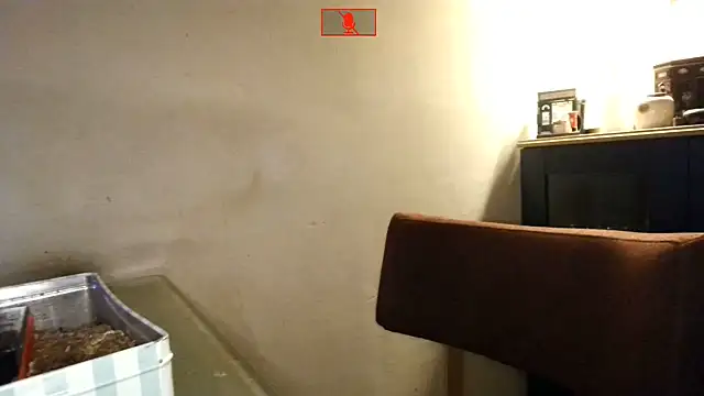 Hgay6935 Adlı Modelin Canlı XXX Sohbeti