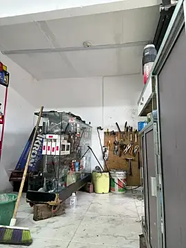 Chat +18 de Paul22cm- ao vivo