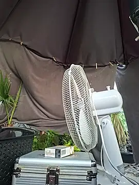 DanteRun Webcam-Show