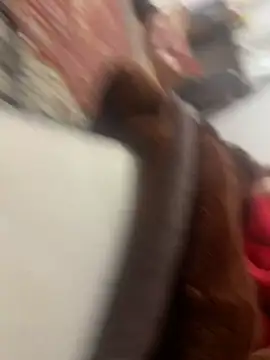 Iznywi live XXX chat