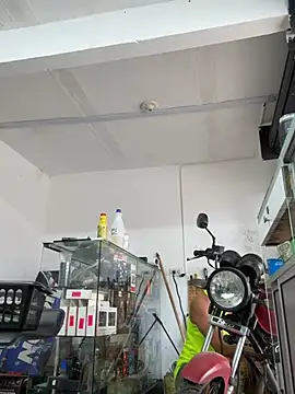 Webkamerová show Paul22cm-