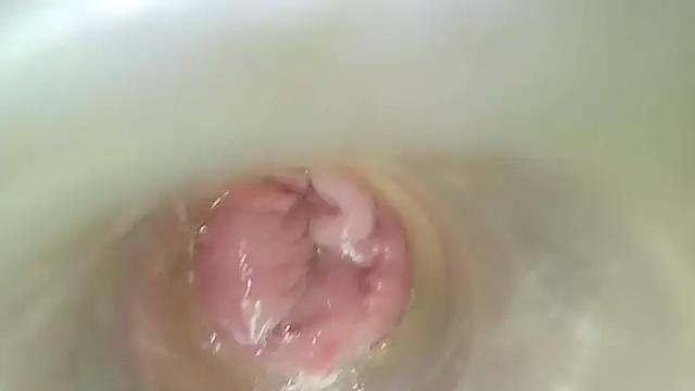 karol_stom's Live XXX Chat