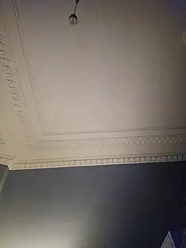 Howsu7777n Webbikameraesitys