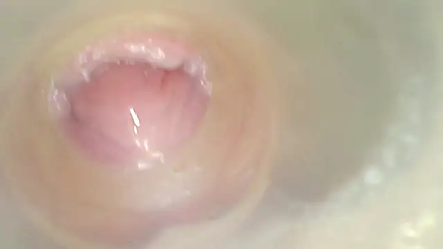 Czat XXX na żywo – karol_stom
