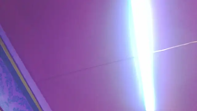 Mini_Rouse's Live XXX Chat