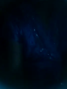 Shanu_Shah Chat XXX live