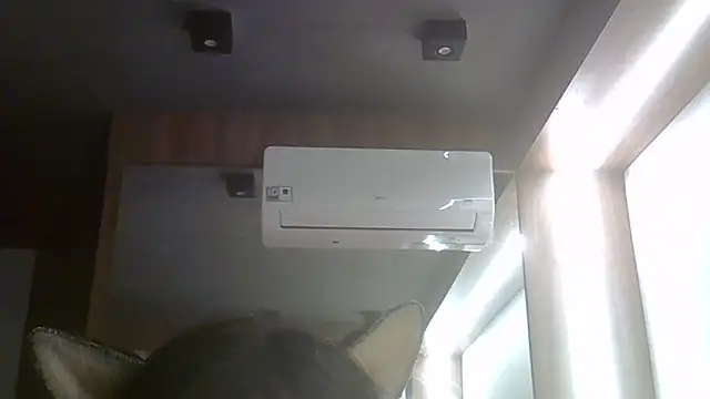 Chat +18 de SkinnyKitten ao vivo