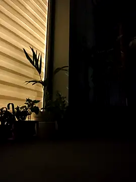 Diogenez69 – Kamerová šou