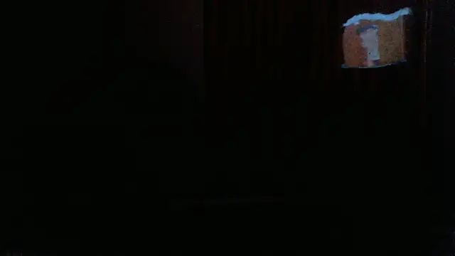 bravo23toro Webcam-Show