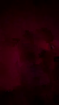 Anubiss91 Show Webcam