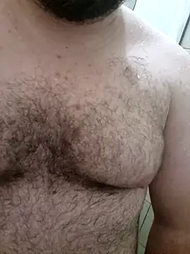 Show webcam de urso_agorasp