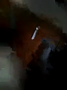 Show Webcam de Sesnass