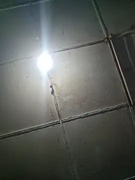 JayDRockblessed লাইভ XXX চ্যাট