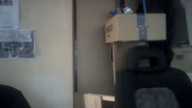 Show webcam de naodanuki