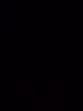 Show de webcam de slpdc