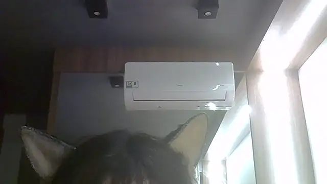 Show de webcam de SkinnyKitten
