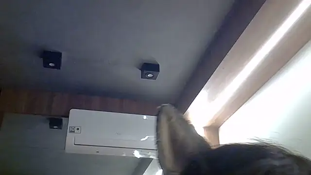 Show de webcam de SkinnyKitten