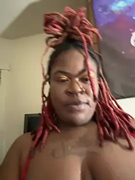 Show webcam de AlphaGee420
