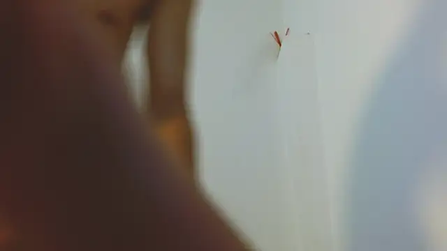 Chat XXX ao vivo de Twinkcock22