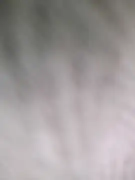 hamstiboy55's Webcam Show