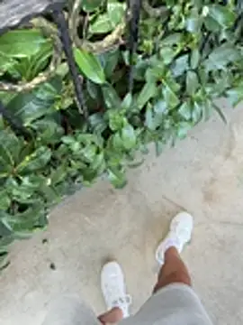 Turkishleo Chat XXX live