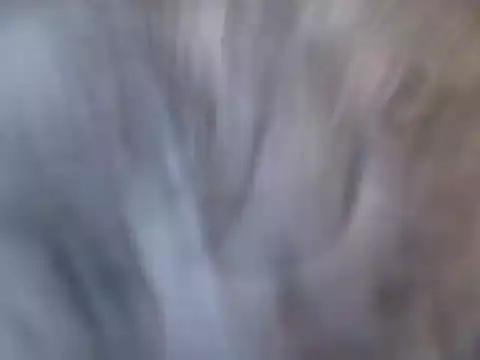 MarthaBriest Live XXX-Chat