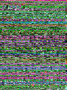 ksuha11 Live XXX-chat