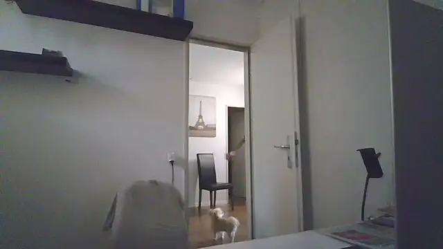 Chat XXX Live alpha-hunk