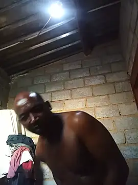 WiseDi Webcamshow