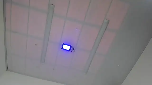 XXX chat uživo modela IssysLeBlanc