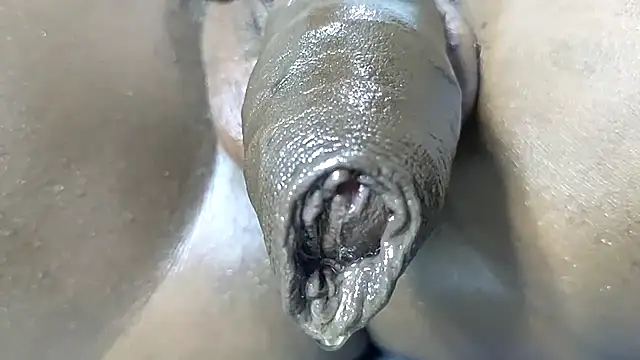 chatydude Live XXX-chat