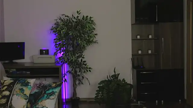 LaraVixen Adlı Modelin Canlı XXX Sohbeti
