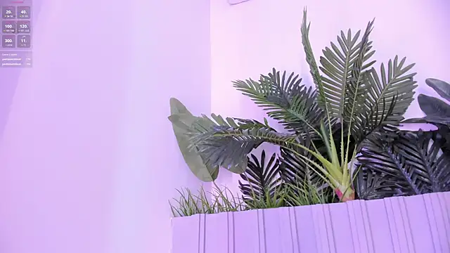 stephanymonroe Adlı Modelin Canlı XXX Sohbeti