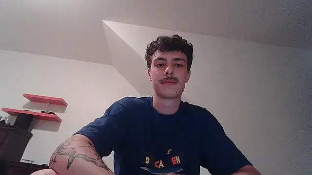 Show webcam de marcoolaso