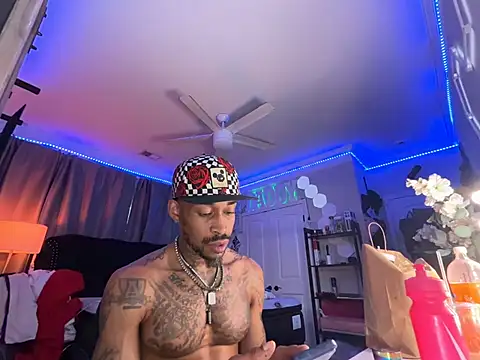 Pokazy przed kamerką – StillArQuez