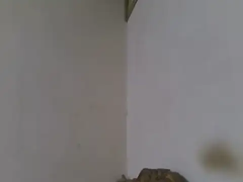عرض كام elpoop7305