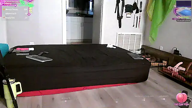 Queenanitadix 라이브 XXX 채팅