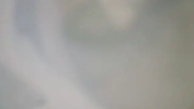 White_rabbit_ Webcam show