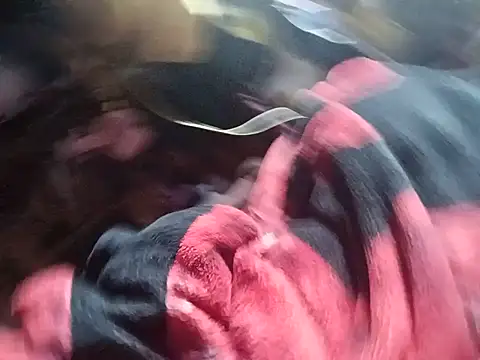 rayhot69 Show Webcam