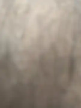 Chat +18 de Idontmind367 ao vivo