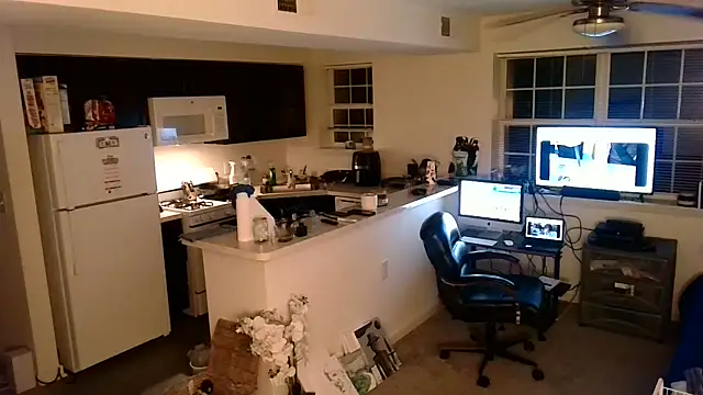 Show webcam de Q1357q
