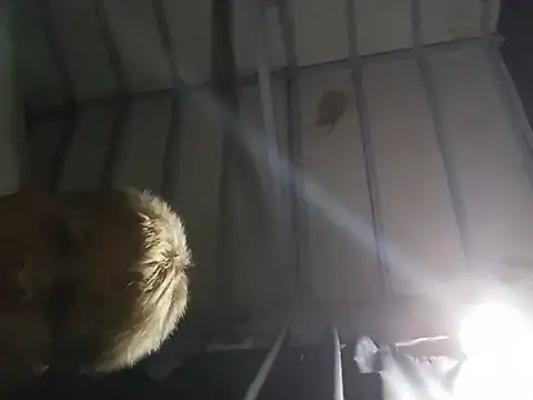 hairy_mannn 라이브 XXX 채팅