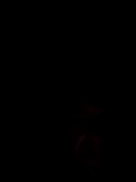 sebeekn Webbikameraesitys