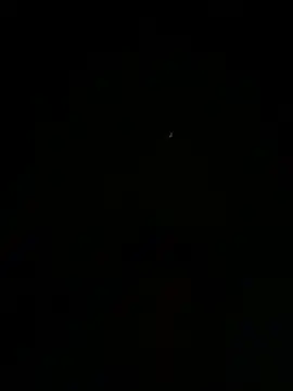 BoggledBlue Webcamshow