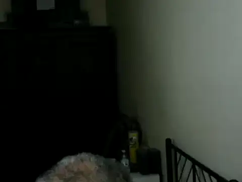 Chat +18 de 100Tauros ao vivo
